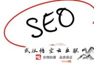 淘宝黑帽seo措施:株洲SEO:啥是服务器日志?