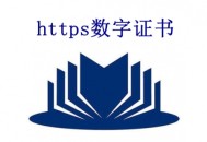 https数字证书是什么？价格是多少？_黑帽SEO优化