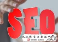 黑帽seo_快照劫持工具:SEO网站优化的“最优化”