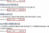 黑帽aso排名优化（黑帽论坛seo的详细情况）