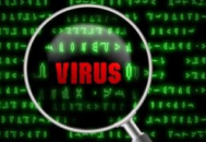 电脑病毒网站