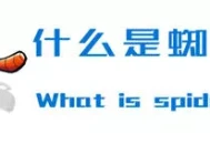 详解蜘蛛池的外推方法与技巧 