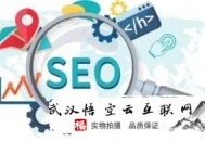 黑帽seo网站流量劫持代码:企业必须做官网优化吗？