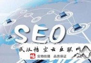 黑帽seo相关书籍:SEO加盟谈网站的高质量文章