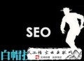 seo黑帽技术是什么:快来看看SEO白帽优化手艺