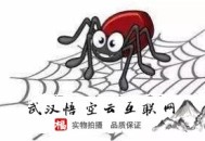 seo黑帽技术论坛:悟空云SEO谈谈蜘蛛池的相关知识