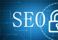 菏泽SEO 网站优化中用户体验和网站排名哪个更重要