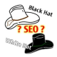 seo黑帽使用