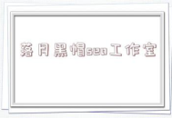 落月黑帽SEO：揭秘违规操作手法与对网络生态的危害
