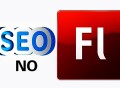 黑帽seo帽子云排名:SEO指南: FLash网站, 该若何去优化!