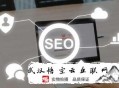黑帽seo怎么举报:【SEO分享】网站改版后导致的权重流失问题