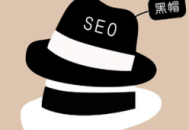 列举几种seo黑帽行为（seo黑帽和白帽的区别）
