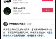 seo黑帽是什么意思（东莞seo黑帽培训）