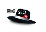 黑帽seo力推逆冬