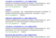 黑帽seo选寄站黑科技，学会付费开启网络推广新路径