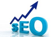 揭秘网站seo优化快速排名核心算法与操作流程