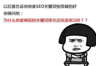 探秘黑帽SEO技术团队：背后的隐秘手段与网络江湖风云