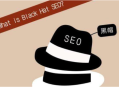 SEO黑帽需掌握什么技能实现快速排名提升