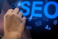 网站SEO的优化经验，入门必看的建议指导！