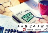 哪里有黑帽seo教程:官网SEO解答白帽seo的操作方式