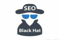 seo黑帽技术有哪些（黑帽论坛seo的详细情况）