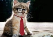 网站SEO优化，日常工作都有那些（必看干货分享）！