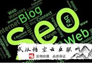 黑帽seo长尾词:专门从事SEO优化的职员需要掌握的SEO知识