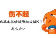 做快排被百度降权或K站，如何恢复（方案）？