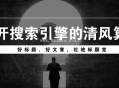 黑帽SEO排名:清风算法主要打击那些网站