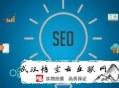 黑帽seo薪资:SEO外包谈谈静态企业网站SEO优化方式