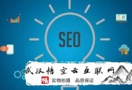 黑帽seo薪资:SEO外包谈谈静态企业网站SEO优化方式