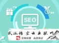 黑帽seo发帖:SEO优化在悟空云互联网时代下未来的偏向