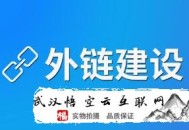 黑帽seo平台:SEO基础：外部链接消逝了怎么办