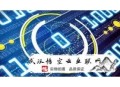 为什么要选择做黑帽seo优化:【关注一下】网站外链的优化技巧