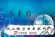 谷歌seo黑帽:定州SEO优化：做好排绅士量真的那么主要吗？