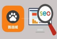 顶级域名高，我们为什么用二级域名做优化（干货）？