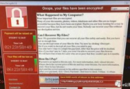 让电脑瘫痪的软件