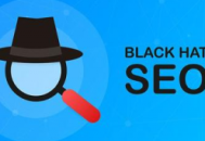 seo黑帽技术有哪些（黑帽aso优化手段）