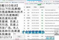 黑帽seo处理事件引流推广：揭秘背后手段与影响
