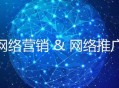 SEO重点内容 我们的网站为什么不被收录