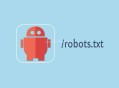 Robots.txt文件要如何正确设置