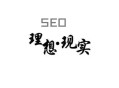 黑帽seo技术是什么:SEO履历分享：理想与现实！