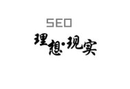 黑帽seo技术是什么:SEO履历分享：理想与现实！