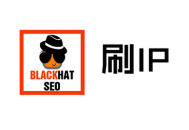 黑帽seo软件破解
