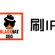 黑帽seo软件破解