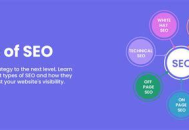 黑帽SEO新手必看！快速入门网站推广的实用指南