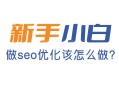 新手做seo怎么做?从哪些方面开始做?