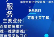 揭秘SEO黑帽优化秒收录技巧，突破常规快速提升网站收录量