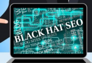 seo黑帽有哪些技术_seo黑帽怎么赚钱