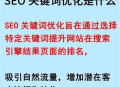 有效去除黑帽SEO的方法与策略